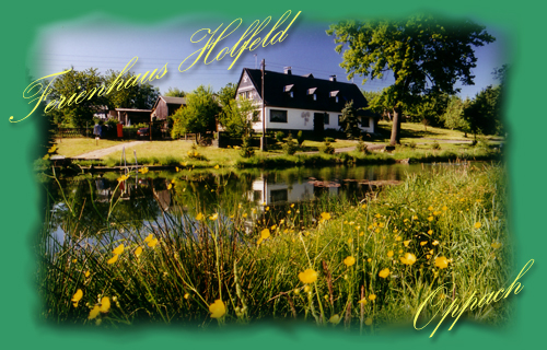 Ferienhaus Holfeld